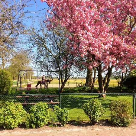 Fine Holiday Home In Donkerbroek エクステリア 写真